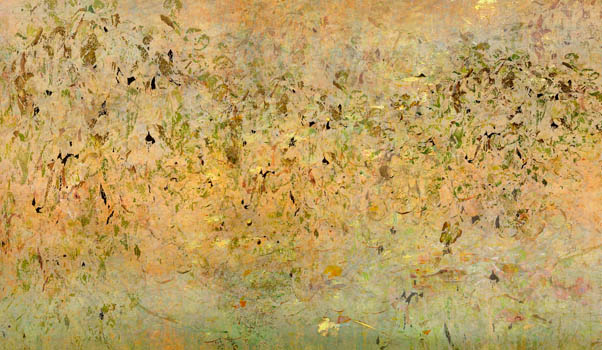 The Lily Pond, (36 x 62 inches) Edition of 6 © Dave Tilton