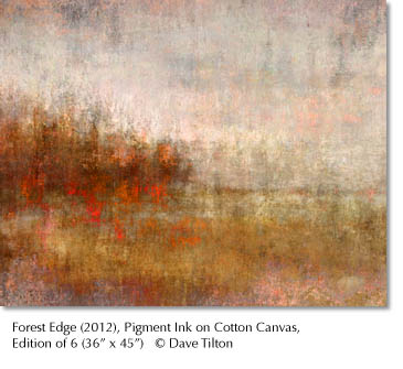 Web Image of Forest Edge (36 x 45 inches) Edition of 6